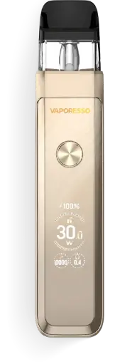 Related Product